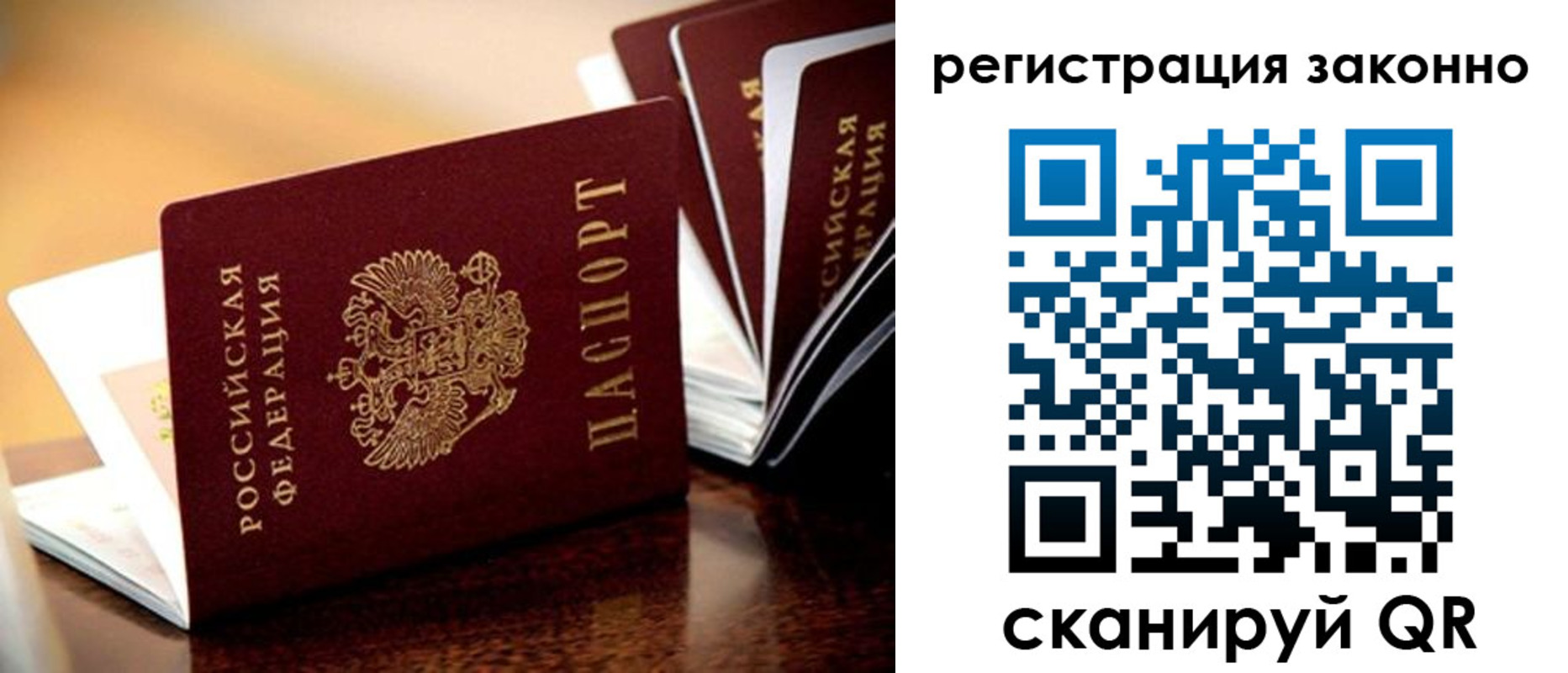 прописка для школы в Шлиссельбурге